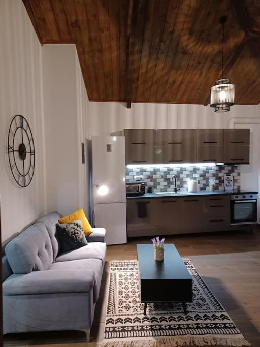 Luxury Apartment With Balcony Mytilíni Esterno foto